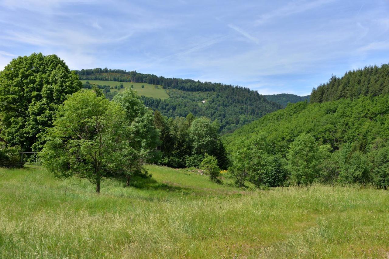 Gite De La Chapelle Des Mineurs Sainte-Marie-aux-Mines Eksteriør billede